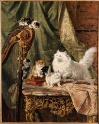 A Musical Interlude