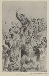 Battle of Resaca de la Palma