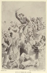 Battle of Resaca de la Palma