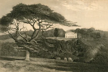 Windmill Hill, 1835