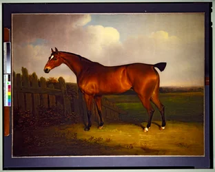 A Bay Racehorse, the Property of Charles 5th Duke of Richmond and Lennox, in a Landscape