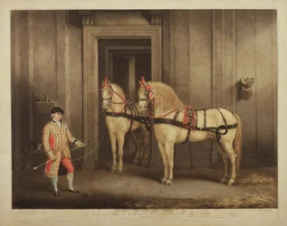 Two of His Majesty