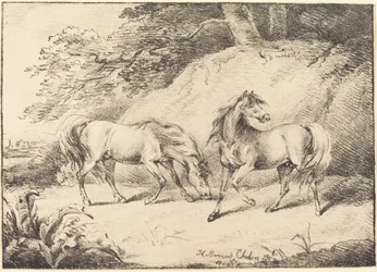 Wild Horses