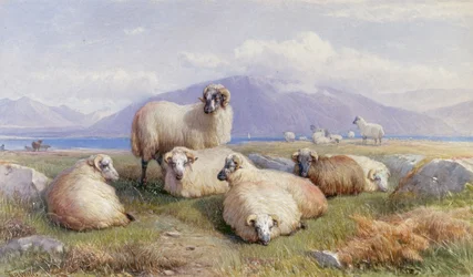 In the Heart of the Highlands
