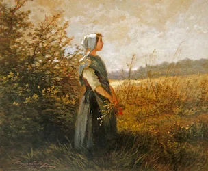 A Summer Day