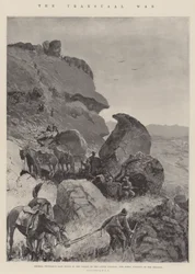 The Transvaal War
