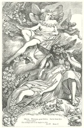 A Midsummer Night