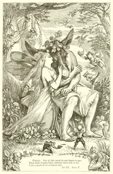 A Midsummer Night
