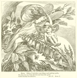 A Midsummer Night