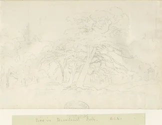 Beaudesert Park