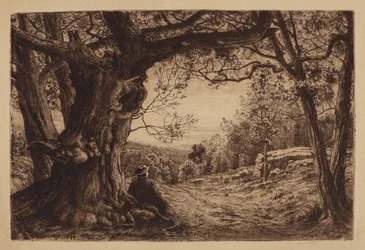 On The Hillside