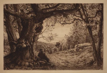 On the Hillside