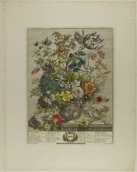 May, from Twelve Months of Flowers