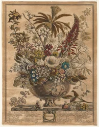 Twelve Months of Flowers: December