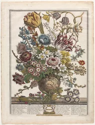 Twelve Months of Flowers: March