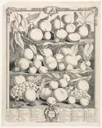 Twelve Months of Fruit: August