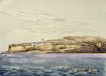 Landscape