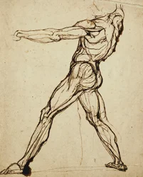 A Nude Throwing