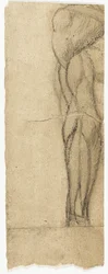Studies of Nudes