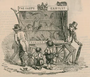 A Street Entertainer with an Aviary
