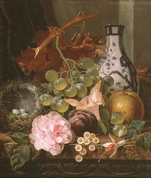 Still Life