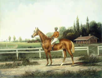 A Chestnut Racehorse with Jockey Up on a Training Track with Stables Beyond