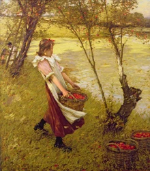 In the Orchard, Haylands, Graffham