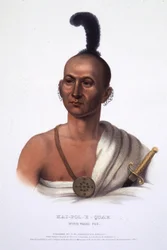 Kai-Pol-E-Quah, White Nosed Fox