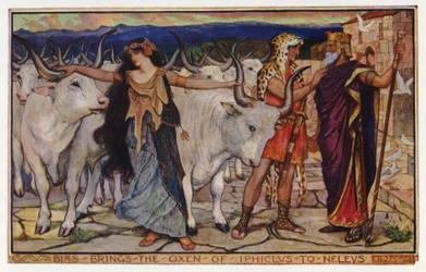 Bias brings the oxen of Iphiclus to Neleus