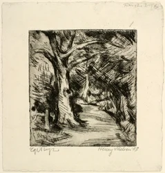 Forest Road. Riis Forest