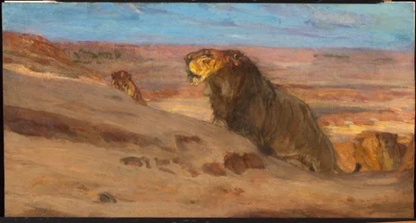 Lions in the Desert