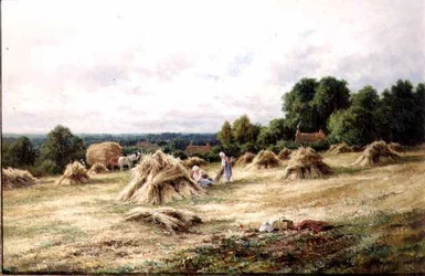 The Harvesters