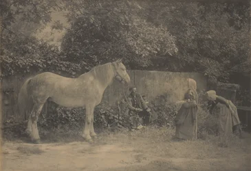 Old Dapple
