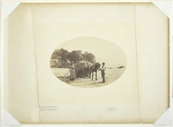 On the Slopes of Cader-Idris, The Last Load of Hay