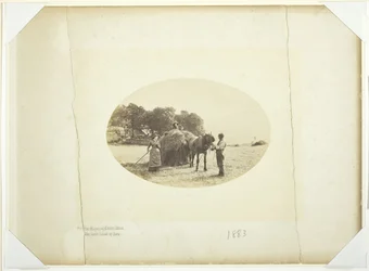 On the Slopes of Cader-Idris, The Last Load of Hay