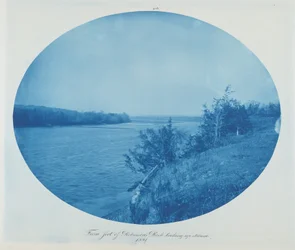 From Foot of Robinson