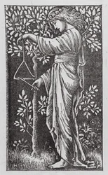 Woman Playing a Triangle
