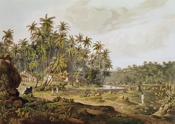 View Near Point du Galle, Ceylon, Engraved by Daniel Havell