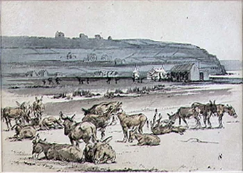 Donkeys on the Golf Course, illustration from 