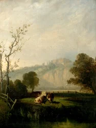 Nottingham Meadows