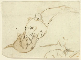 Five Sketches of Lions: Lioness with Cub