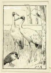 Four Birds in Landscape