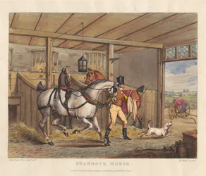 Horses [set of six]: 2. Stanhope Horse
