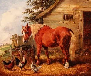 Outside the Stable