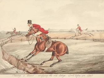 Qualified Horses and Unqualified Riders: Facing a Brook Verifying the Old Adage, Look Before You Leap