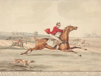 Qualified Horses and Unqualified Riders: 