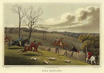 Stag Hunting