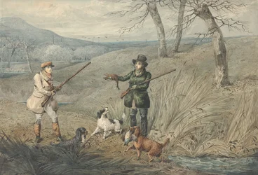 Wild Duck Shooting