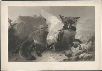 Just Caught: A Fox Has Stolen a Duck. After R. Ausdell. With Address of Gambart