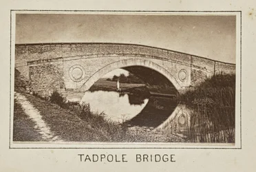 Tadpole Bridge